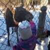 https://cdn-ostrovok-ru-ion.test.edgekey.net/t/100x100/hotel_review/11/86/1186943b40ef50587258b445c568b30ee31e512c.jpeg