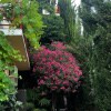 https://cdn-ostrovok-ru-ion.test.edgekey.net/t/100x100/hotel_review/11/df/11df4893588bebda6a11b206b3cf3afed841a8a3.JPEG