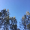 https://cdn-ostrovok-ru-ion.test.edgekey.net/t/100x100/hotel_review/11/f1/11f1f69c2cc3280e2299566621fadeeec1e359b9.JPEG