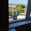 https://cdn-ostrovok-ru-ion.test.edgekey.net/t/100x100/hotel_review/12/36/1236a731224d1e4f7691cabdf41fe7e0ace56324.JPEG