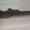 https://cdn-ostrovok-ru-ion.test.edgekey.net/t/100x100/hotel_review/12/46/1246e516031d75e55cdd84003d5e5b1bde0ec5cb.JPEG