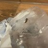 https://cdn-ostrovok-ru-ion.test.edgekey.net/t/100x100/hotel_review/12/4a/124a6c659fd90751052ae2ad433797a2819cf990.JPEG