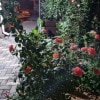 https://cdn-ostrovok-ru-ion.test.edgekey.net/t/100x100/hotel_review/12/63/12635d00831db5ec6994c8185462958aced684a6.JPEG