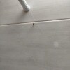https://cdn-ostrovok-ru-ion.test.edgekey.net/t/100x100/hotel_review/12/b2/12b2e524d8465d8f5f3e3c69f80241a1fed0e5ee.JPEG