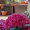 https://cdn-ostrovok-ru-ion.test.edgekey.net/t/100x100/hotel_review/12/b5/12b5431b1fa9ae5d5738a7888c15f10cb31a4d1e.jpeg