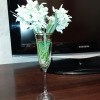 https://cdn-ostrovok-ru-ion.test.edgekey.net/t/100x100/hotel_review/12/ce/12cec1a5a2da7de9ad2765b79fbe027c9de54965.JPEG