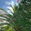 https://cdn-ostrovok-ru-ion.test.edgekey.net/t/100x100/hotel_review/13/14/13146f91596529b6b598f8bf4e301d958b782f7a.JPEG