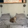 https://cdn-ostrovok-ru-ion.test.edgekey.net/t/100x100/hotel_review/13/22/1322df0d85b1ba0c177e041a85608067dd8d22b2.JPEG
