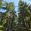 https://cdn-ostrovok-ru-ion.test.edgekey.net/t/100x100/hotel_review/13/2c/132cab4c2219b0066e38897ff3f9450597aa7f50.JPEG