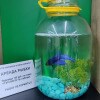 https://cdn-ostrovok-ru-ion.test.edgekey.net/t/100x100/hotel_review/13/39/133924ba7f7bc9a54dfa636cc89dc450e7efe79b.JPEG