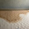 https://cdn-ostrovok-ru-ion.test.edgekey.net/t/100x100/hotel_review/13/69/136965f5f7d8d8c505f963735a3435d2fc4e81fb.JPEG