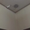 https://cdn-ostrovok-ru-ion.test.edgekey.net/t/100x100/hotel_review/13/74/1374d894ea129c29655a454f184b3ed11b35e377.JPEG