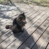https://cdn-ostrovok-ru-ion.test.edgekey.net/t/100x100/hotel_review/13/79/137998192a0774fa996ba6a8a8cc1ee423d2065a.JPEG