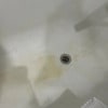 https://cdn-ostrovok-ru-ion.test.edgekey.net/t/100x100/hotel_review/13/8b/138b7b9f6bc225505f54a34554bf9e9c4e0854fc.jpeg