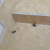 https://cdn-ostrovok-ru-ion.test.edgekey.net/t/100x100/hotel_review/13/98/1398eb6a1a787c4197de8430d8c571540cb94bb7.JPEG