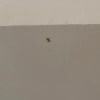 https://cdn-ostrovok-ru-ion.test.edgekey.net/t/100x100/hotel_review/13/b4/13b4e3e431a2e4e47f8251f826219951d143129c.JPEG