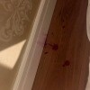 https://cdn-ostrovok-ru-ion.test.edgekey.net/t/100x100/hotel_review/14/6a/146a1816b860c094d5bfad6120919b990ec63326.jpeg