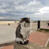 https://cdn-ostrovok-ru-ion.test.edgekey.net/t/100x100/hotel_review/14/6d/146d6cd2d20b359e56efc52f51118a6014983019.JPEG