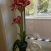 https://cdn-ostrovok-ru-ion.test.edgekey.net/t/100x100/hotel_review/14/9c/149c696d18dc46a8795c8b32e9bbccc8e30fdec3.JPEG