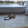 https://cdn-ostrovok-ru-ion.test.edgekey.net/t/100x100/hotel_review/14/fb/14fbd8c275b0d7849d0a1216f3f8aa45f244852d.JPEG
