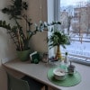 https://cdn-ostrovok-ru-ion.test.edgekey.net/t/100x100/hotel_review/15/c4/15c42e76cf6328c38e59ec2a5b260a684afc44fb.JPEG