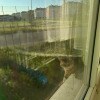 https://cdn-ostrovok-ru-ion.test.edgekey.net/t/100x100/hotel_review/16/1b/161b27e10445a5ee989ed8dcfb95438ac7067e92.JPEG