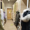 https://cdn-ostrovok-ru-ion.test.edgekey.net/t/100x100/hotel_review/16/24/1624113c26a4cfb49a60a87d9d0202a1c6203c44.JPEG