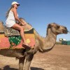 https://cdn-ostrovok-ru-ion.test.edgekey.net/t/100x100/hotel_review/16/39/1639636c93aaaf6e91f5d785c76faf38ecacd9b3.JPEG