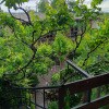 https://cdn-ostrovok-ru-ion.test.edgekey.net/t/100x100/hotel_review/16/zz/16add1aa5f5090d41f57da286ddd240190d9782f.JPEG