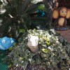 https://cdn-ostrovok-ru-ion.test.edgekey.net/t/100x100/hotel_review/17/47/174742fb0b25cb1ce7f831b54e32809d4311f387.jpeg