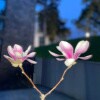 https://cdn-ostrovok-ru-ion.test.edgekey.net/t/100x100/hotel_review/17/55/17554d3bd2f798fbea299e712f09a2e9347c3842.JPEG