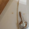 https://cdn-ostrovok-ru-ion.test.edgekey.net/t/100x100/hotel_review/17/82/178295174506234935d1fed05400d020605fa2ce.jpeg