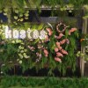 https://cdn-ostrovok-ru-ion.test.edgekey.net/t/100x100/hotel_review/17/97/1797fe04a1894dd279c21010212e2470666e02f8.JPEG