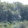 https://cdn-ostrovok-ru-ion.test.edgekey.net/t/100x100/hotel_review/17/9a/179a67a3f00ad80d42b9417b6c37e4df57bc8334.JPEG