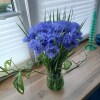 https://cdn-ostrovok-ru-ion.test.edgekey.net/t/100x100/hotel_review/17/ed/17edabc344b30c4edf2223f5bb73395b335786dd.JPEG