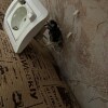 https://cdn-ostrovok-ru-ion.test.edgekey.net/t/100x100/hotel_review/17/f4/17f4eec06ef4920ed8f54a847a7005e5d0e66949.JPEG