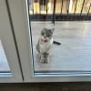 https://cdn-ostrovok-ru-ion.test.edgekey.net/t/100x100/hotel_review/18/00/1800bd8d0a4c8857aad40a1cfcf32af0a0f57ef9.JPEG