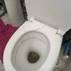 https://cdn-ostrovok-ru-ion.test.edgekey.net/t/100x100/hotel_review/18/26/18260de11e8ea38c33c105c18ee56e29cc29e1ab.JPEG