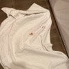 https://cdn-ostrovok-ru-ion.test.edgekey.net/t/100x100/hotel_review/18/4a/184a5a8e6a78fd5ca93c642d5109fb9adaa2680f.jpeg