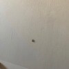https://cdn-ostrovok-ru-ion.test.edgekey.net/t/100x100/hotel_review/18/70/1870b367ed8f87f0da4f3ae36720d220c6888361.jpeg