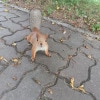 https://cdn-ostrovok-ru-ion.test.edgekey.net/t/100x100/hotel_review/18/93/18930b1f3bccf085c6d30c3a0e582e991de3e663.JPEG