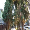 https://cdn-ostrovok-ru-ion.test.edgekey.net/t/100x100/hotel_review/18/db/18dbcada739d76f982d0491c32b19aa2991b64d3.JPEG