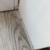 https://cdn-ostrovok-ru-ion.test.edgekey.net/t/100x100/hotel_review/19/1c/191ccfcc615101c48317e17551262bfc6ceda79c.JPEG