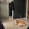 https://cdn-ostrovok-ru-ion.test.edgekey.net/t/100x100/hotel_review/19/3c/193c8943ff518c0558457f7a50ea7831d2c1d829.jpeg