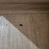 https://cdn-ostrovok-ru-ion.test.edgekey.net/t/100x100/hotel_review/19/54/1954872bcf92a5df86bdd5fce8d1ddddce9fc70b.JPEG