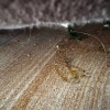 https://cdn-ostrovok-ru-ion.test.edgekey.net/t/100x100/hotel_review/19/71/19713062220ded9798b8bb1051b89cf65c348a83.JPEG