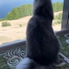 https://cdn-ostrovok-ru-ion.test.edgekey.net/t/100x100/hotel_review/19/73/197351968a1da08c36ab1811696add2cd10a4155.JPEG