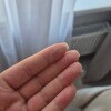 https://cdn-ostrovok-ru-ion.test.edgekey.net/t/100x100/hotel_review/1a/04/1a04ad94a988c0ba5f2ba5b5471ea92203a4fe20.JPEG