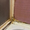 https://cdn-ostrovok-ru-ion.test.edgekey.net/t/100x100/hotel_review/1a/1e/1a1ea185e18f17159ee099c07fe59aeae1643c84.JPEG
