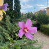 https://cdn-ostrovok-ru-ion.test.edgekey.net/t/100x100/hotel_review/1a/3e/1a3e41cb72d567db2bfbfd4a86937a7630eccea2.JPEG